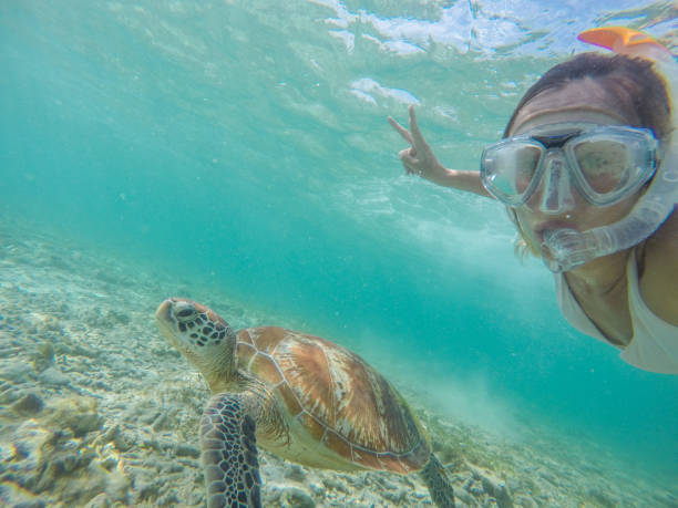 istock Selfie of girl with turtle underwater 944938502