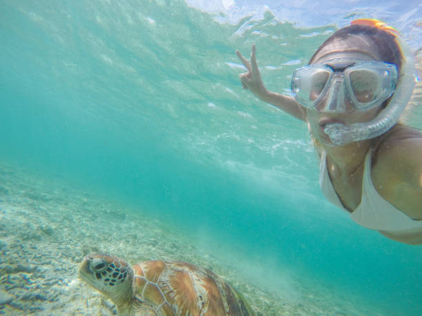 istock Selfie of girl with turtle underwater 944938504