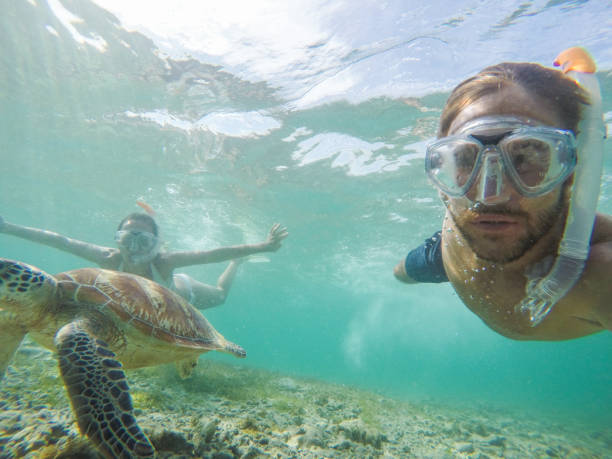 istock Young couple taking underwater selfie with sea turtle, vacations summer concept 944941320