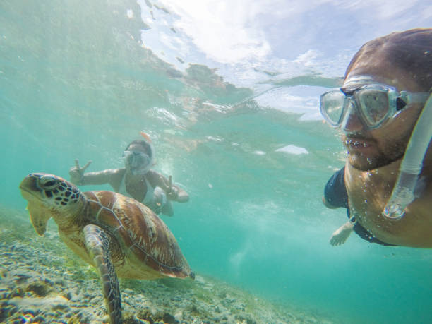 istock Young couple taking underwater selfie with sea turtle, vacations summer concept 944941404