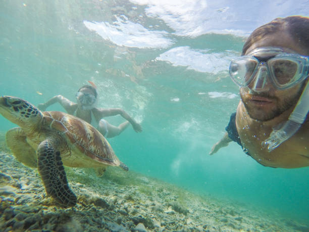 Young couple taking underwater selfie with sea turtle, vacations summer concept