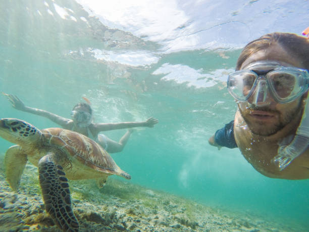 istock Young couple taking underwater selfie with sea turtle, vacations summer concept 944941446
