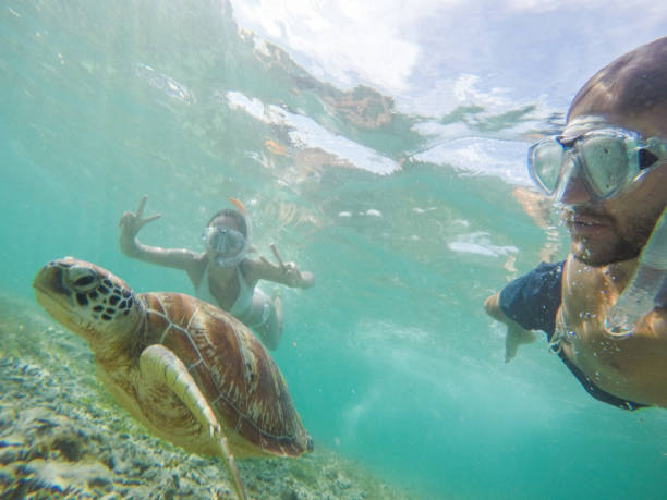 istock Young couple taking underwater selfie with sea turtle, vacations summer concept 944941476