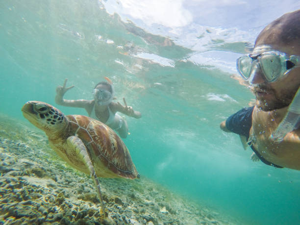 istock Young couple taking underwater selfie with sea turtle, vacations summer concept 944941482