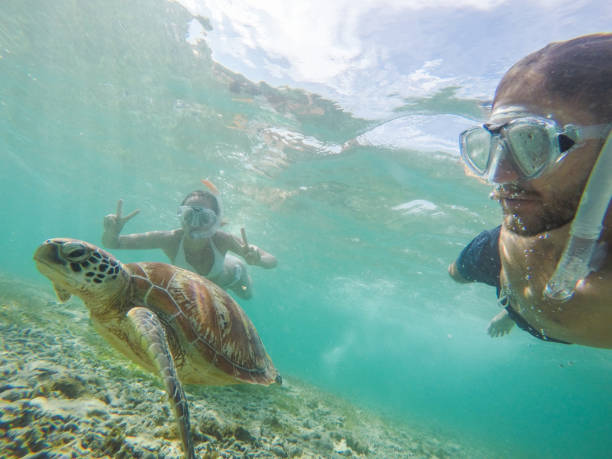 istock Young couple taking underwater selfie with sea turtle, vacations summer concept 944941484