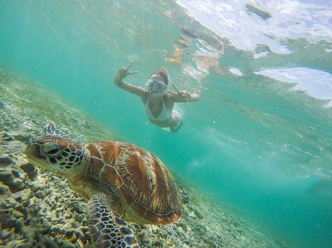 Cheerful girl dive underwater over coral reef following green turtle in sea, crystal clear water in the Gili Islands near Bali, Lombok region, Indonesia. People travel summer fun vacations tropical climate concept. One person wanderlust traveling vacations