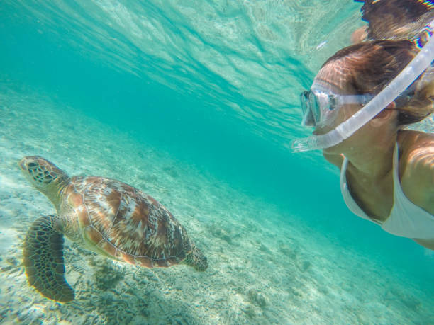 istock Selfie of girl with turtle underwater 944942164