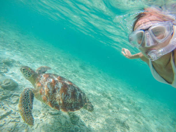 istock Selfie of girl with turtle underwater 944942204