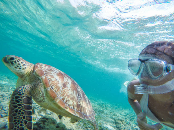 istock Selfie of girl with turtle underwater 944942420