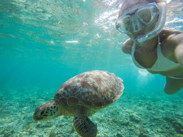 istock Selfie of girl with turtle underwater 944942448