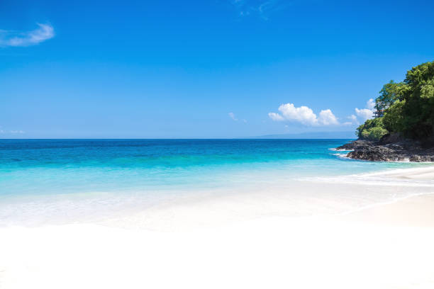 istock Tropical sand beach and ocean with crystal water in Bali 944942892