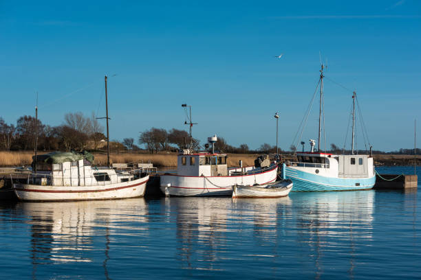 istock Fishing boats in harbor 944957390