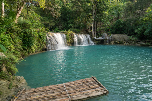 Beautiful waterfalls in Siquijor Island, Philippines Beautiful waterfalls in Island, Philippines
Greens and turquoise colors, no people nature travel destinations concept siquijor stock pictures, royalty-free photos & images