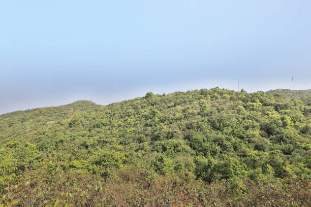 istock a Sir Cecils Ride, Tai Tam hong kong 944968846