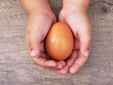 One egg in children's hands