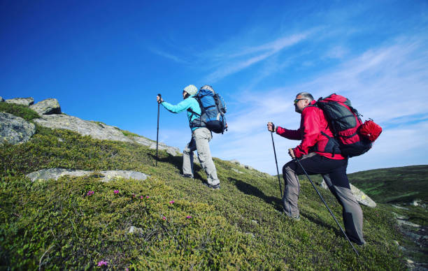 istock Summer hike in the mountains with a backpack and tent. 944976394