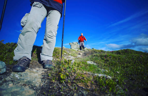 istock Summer hike in the mountains with a backpack and tent. 944976396