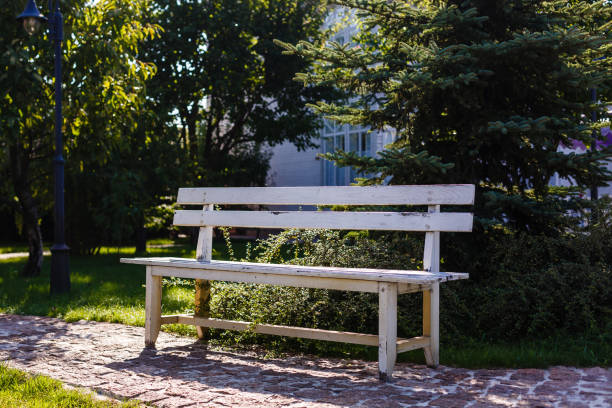 istock Wooden bench in the park 944978840