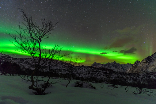 Northern Lights, polar light or Aurora Borealis in the night sky over the Lofoten islands in Northern Norway. Clear beam raising up behind  the high snow and ice covered peaks in the distance.