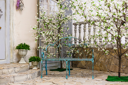 Spring patio of blue wooden house with blooming oriental cherry on a terrace white bench with
