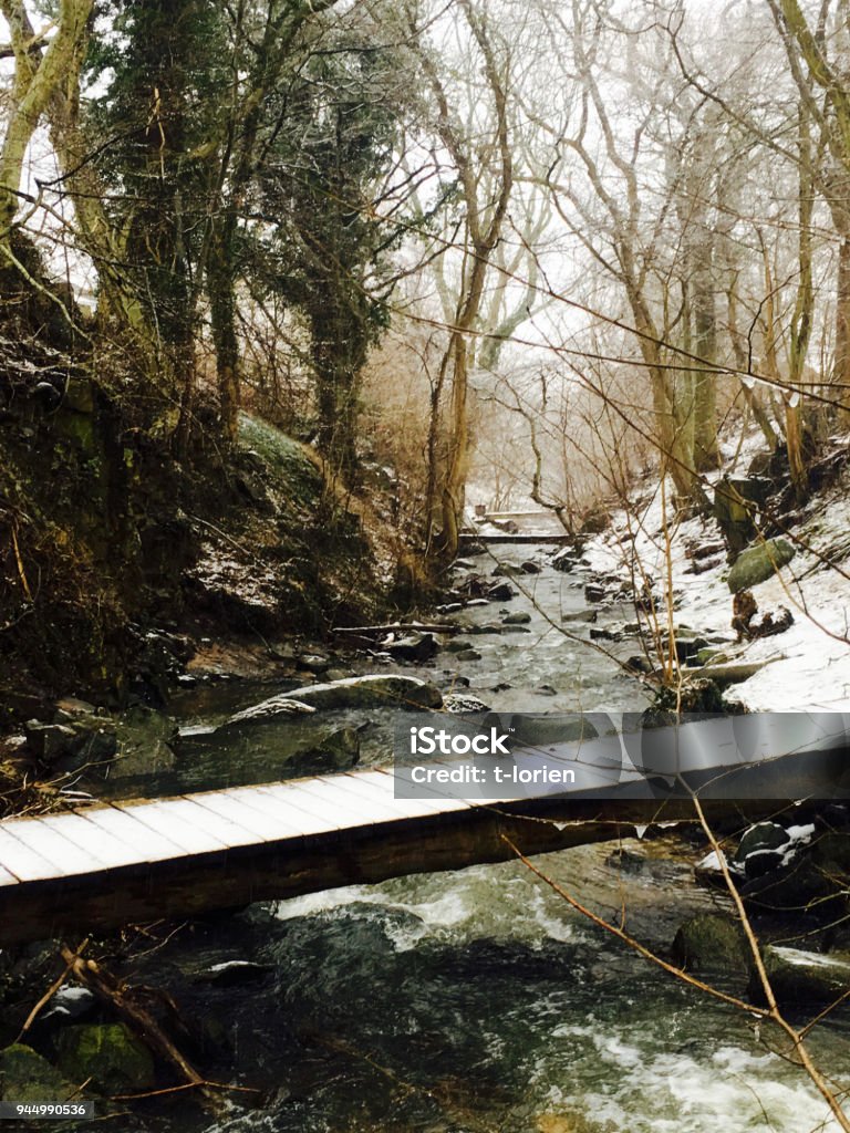 Creek in Winter. Small creek in Bornholm - Denmark. Beauty In Nature Stock Photo
