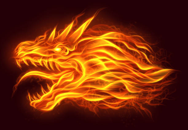 illustrations, cliparts, dessins animés et icônes de feu de tête de dragon - fire illustration and painting dragon art