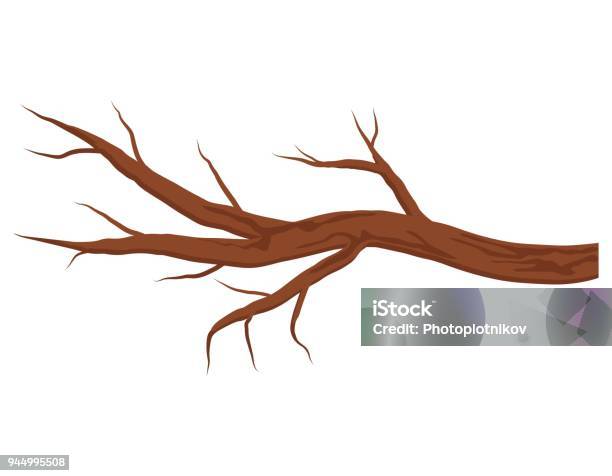 Bare Brown Tree Branch Without Leaves Isolated On White Background Autumn Or Winter Branch Vector Illustration Stock Illustration - Download Image Now