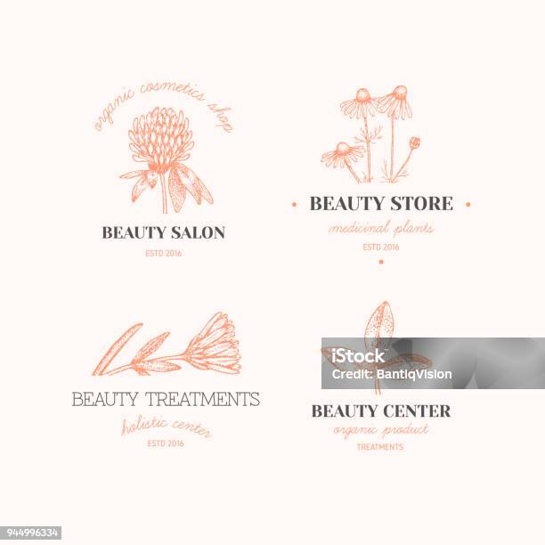 Herbal Logos Stock Illustration - Download Image Now - Alternative Medicine, Aromatherapy, Art