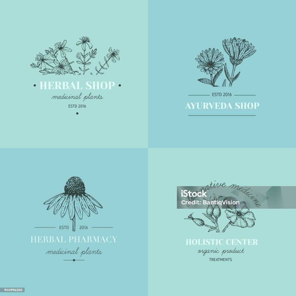 Herbal logos. Vector vintage hand drawn herb logos. Alternative medicine, ayurveda, pharmacy, homeopathy, beauty shop, holistic center logos, badges, emblems. Logo stock vector