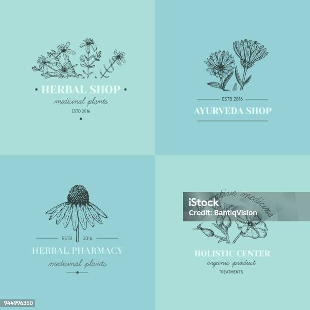 Herbal Logos Stock Illustration - Download Image Now - Logo, Organic, Etching