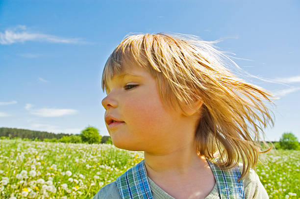 istock child in the meadow 94500110