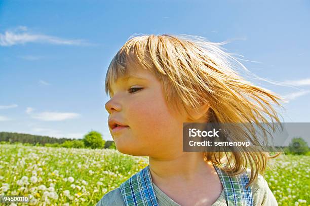 Foto de Criança No Meadow e mais fotos de stock de Alegria - Alegria, Aspiração, Atividade Recreativa