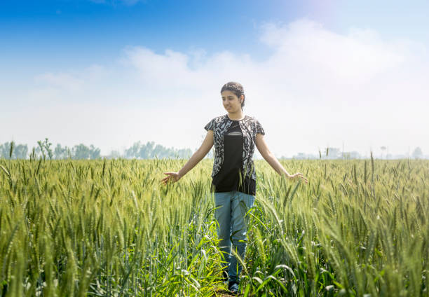 девочка-подросток, прикасаясь к головам пшеницы в культивируемом поле - wheat winter wheat cereal plant spiked стоковые фото и изоб�ражения