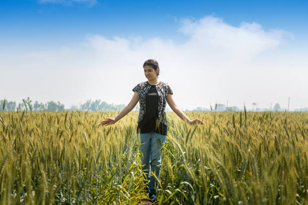 девочка-подросток, прикасаясь к головам пшеницы в культивируемом поле - wheat winter wheat cereal plant spiked стоковые фото и изображения