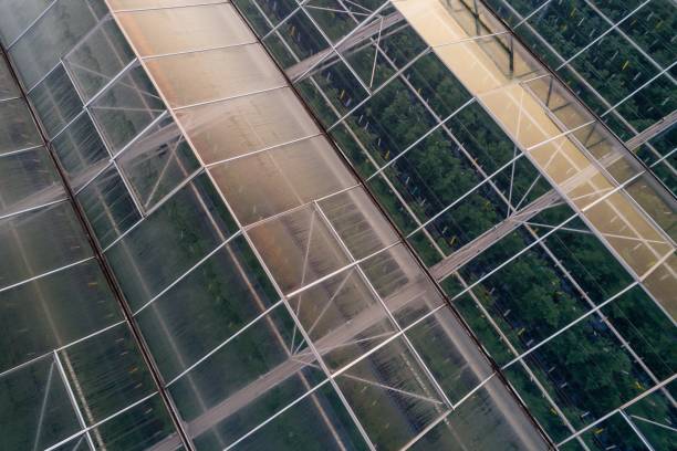 istock Aerial drone view on large modern glass houses 945003396