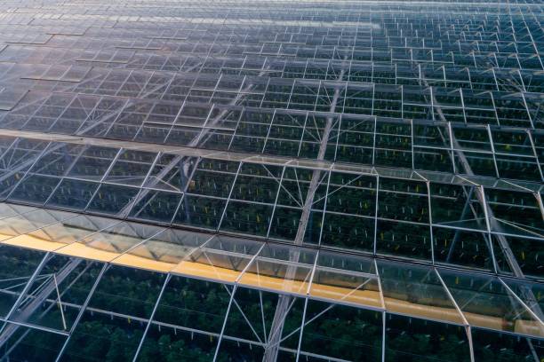 istock Aerial view on large modern glass houses 945003550
