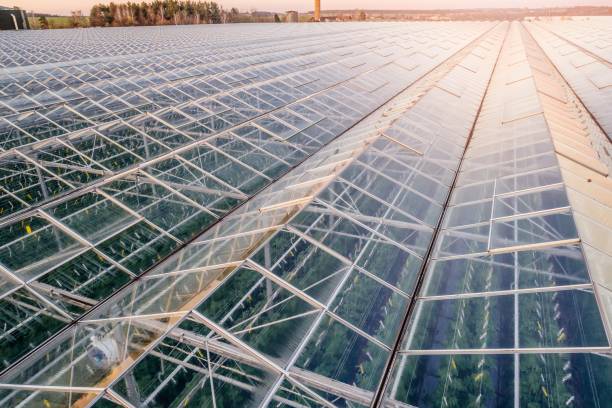 istock Aerial view on large modern glass houses 945003802