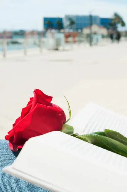 Photo of red rose and book for Saint George Day