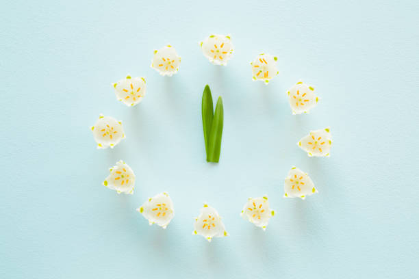 istock Welcome spring. Flower clock created from fresh, beautiful snowdrops on blue background. First messengers of spring. Time concept. 945016958