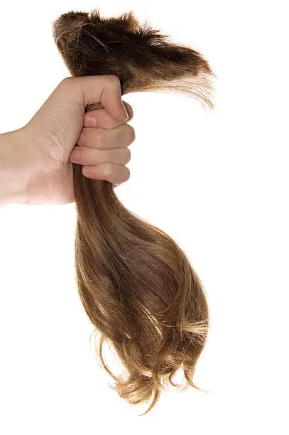 Photo of Lock of hair in a hand