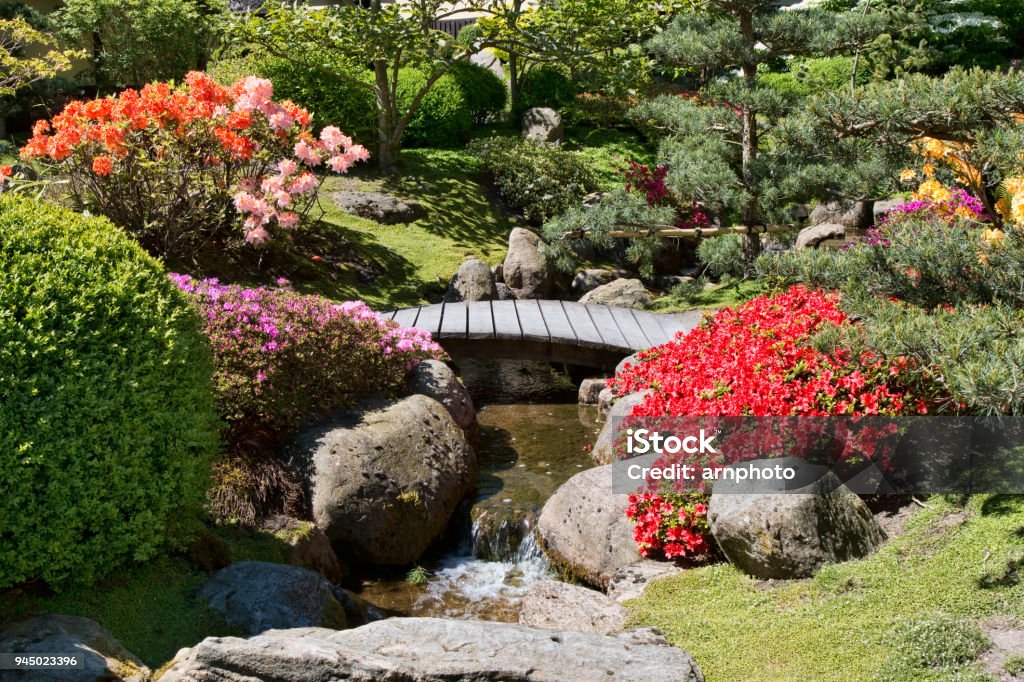 Small Stream in a Garden Small stream with a bridge in a Japanese Garden Beauty Stock Photo