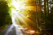 istock Sunflare on road 94502345