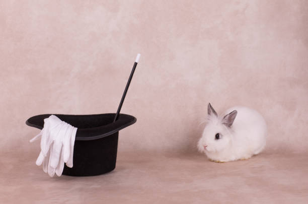 istock white rabbit in a black hat and a magic wand 945033188