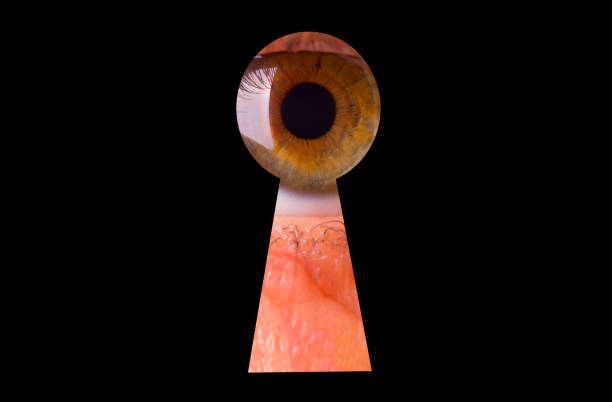 istock Female eye peeking through a keyhole concept for curiosity 945037238