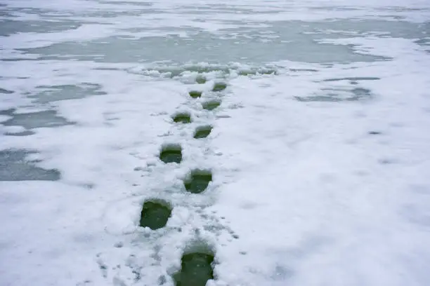 Photo of Photo of winter scene fall through ice, drowning or dangers of walking on thin ice of rivers, lakes, ponds and other water reservoirs. Traces of human footprint end near where the man fell