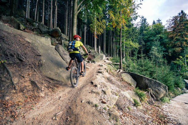 istock Mountain biker riding cycling in autumn forest 945041782
