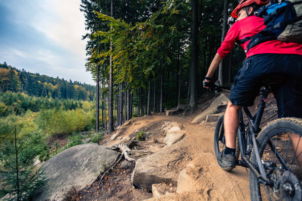 istock Cycling in autumn inspiring forest and mountains 945041844