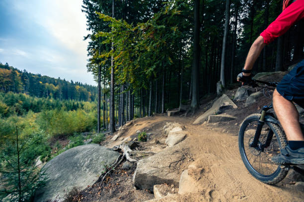 istock Mountain biker riding cycling in autumn forest 945042004