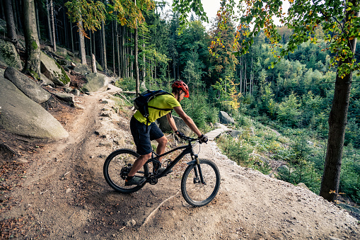 Mountain biker riding on bike on forest dirt trail
