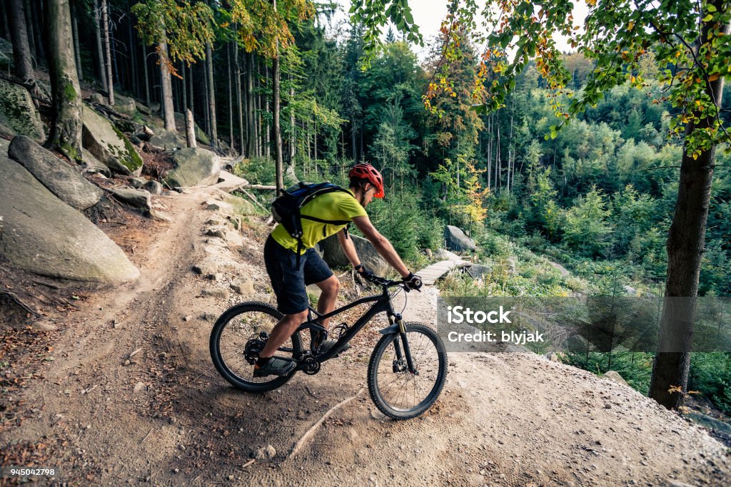 Mountain biker riding on bike on forest dirt trail Cycling in autumn inspirational mountains landscape. Mountain biker riding on bike on forest dirt trail. Man cycling MTB on enduro track. Sport fitness motivation and inspiration. Mountain Bike Stock Photo